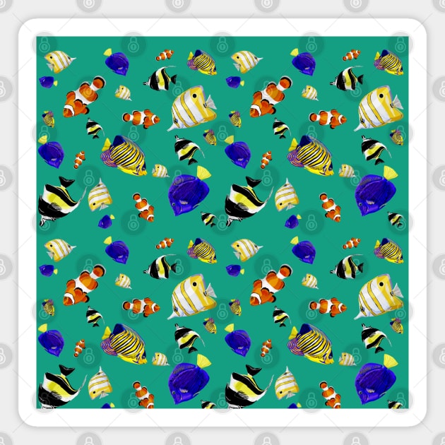 Tropical fish Magnet by rlnielsen4